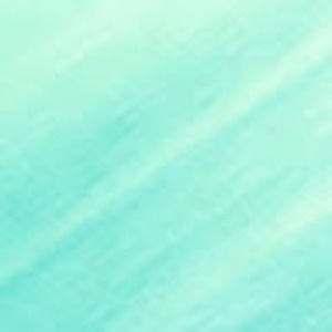 Meet your Posher, Ella